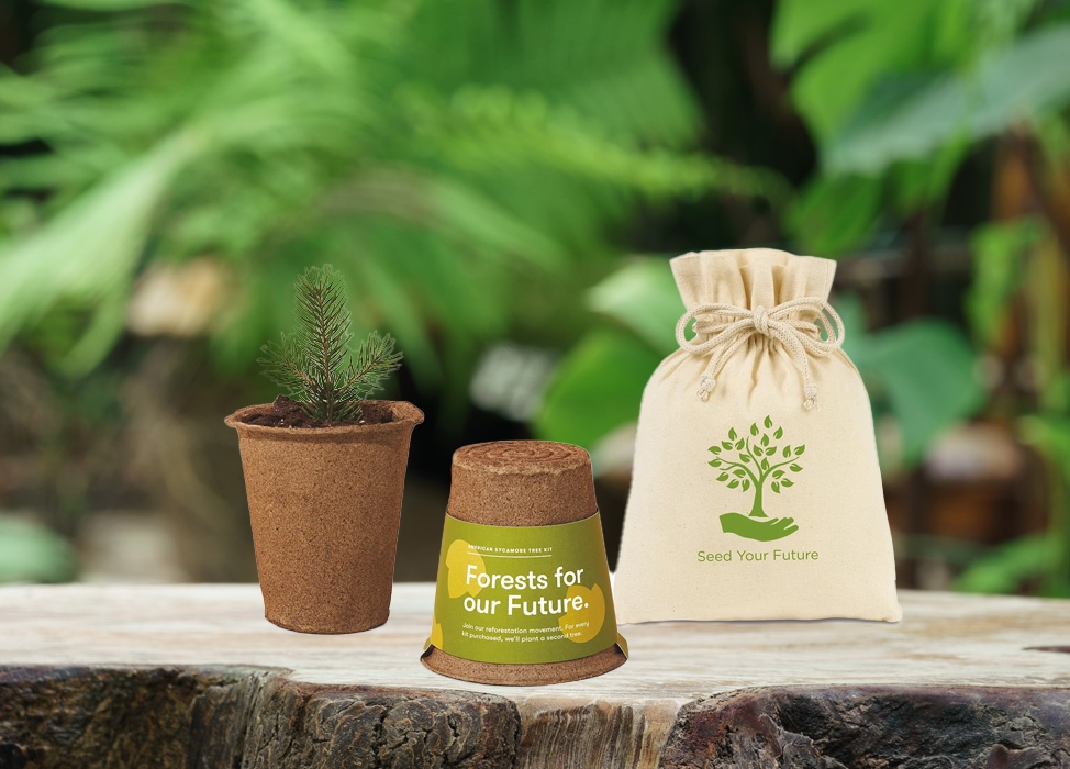 Gift Sets Featuring Innovative and Eco-Friendly Products